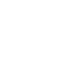 ce logo Pawtucket