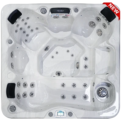 Avalon-X EC-849LX hot tubs for sale in Pawtucket